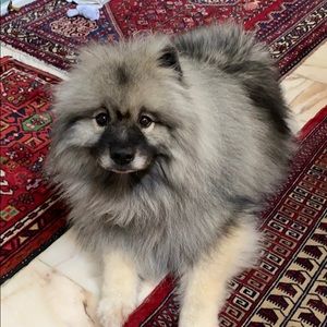 Meet your Posher, Chris